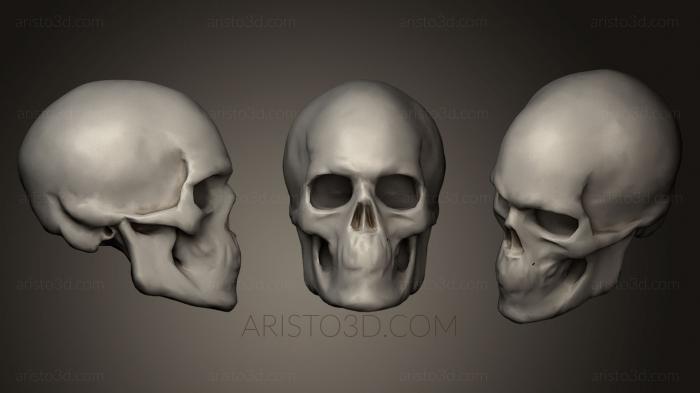 Anatomy of skeletons and skulls (ANTM_0141) 3D model for CNC machine